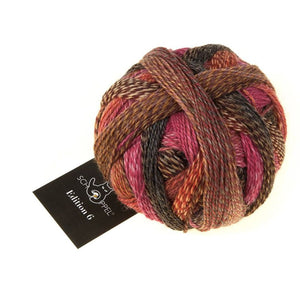 Schoppel Wolle Edition 6