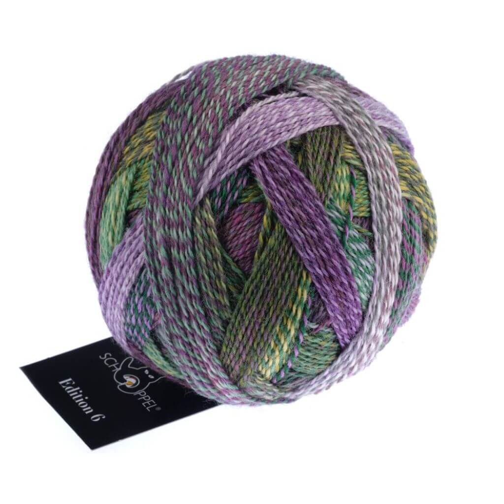 Schoppel Wolle 2511 - All inclusiv Schoppel Wolle Edition 6 Lieblingsgarn
