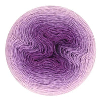 558 Shrinking Violet