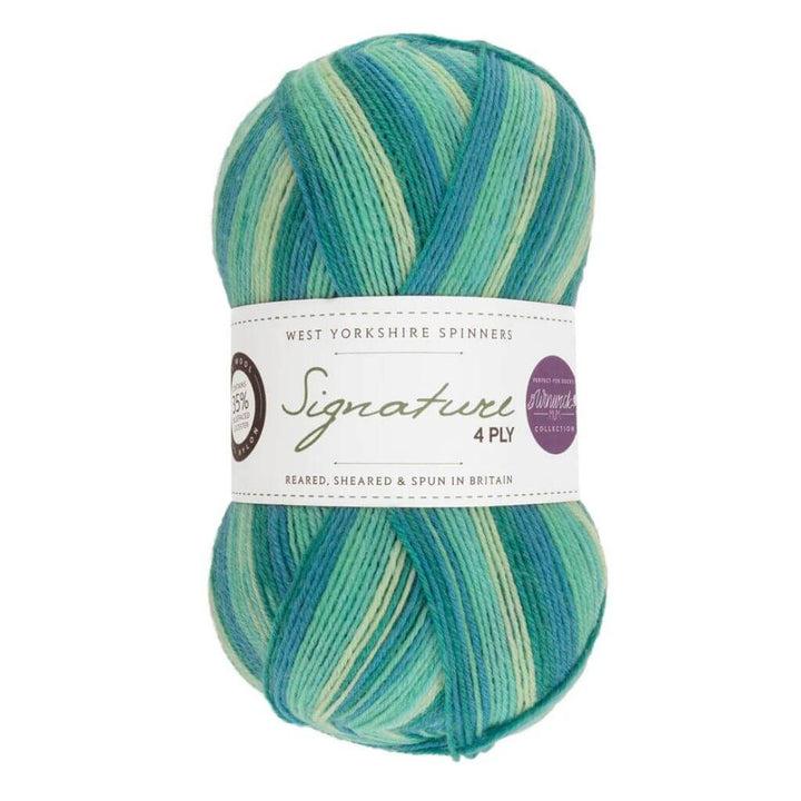 West Yorkshire Spinners West Yorkshire Spinners Signature 4ply Winwick Mum Lieblingsgarn