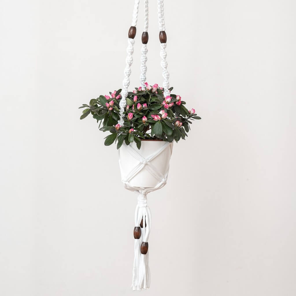 Hoooked Macramé-Set Blumenampel aus Zpagetti in Cotton White Lieblingsgarn